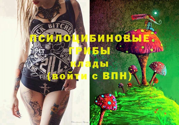 гашик Балабаново